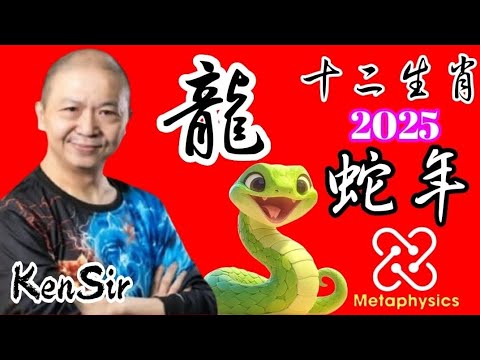 ㊙️🐉生肖【龍】｜2025年｜蛇年十二生肖｜運程預測｜#十二生肖 #2025年 #蛇🐍 #astrology #數字玄學