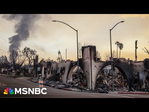 Altadena community is 'absolutely decimated': Pregnant couple lost home in Eaton fire