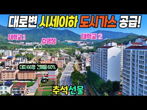 49.💸(급)가격조정 아파트입구 4차선도로변 작고싼땅! 상가주택부지추천 토지매매 도시가스공급확정! 최고의 투자 기회! 급매물 제천땅집부동산TV