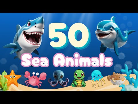 50 Sea Animals for Kids and Toddlers Education | English Vocabulary | Kids Preschool Learning