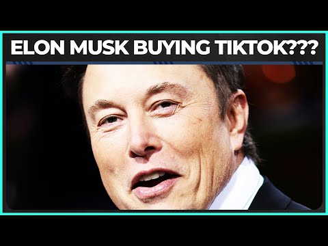 Elon Musk Buying TikTok???