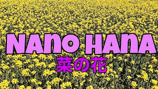 NANO HANA | CANOLA FLOWER | Kashomi83