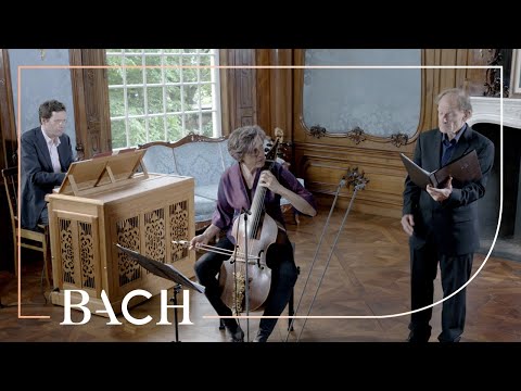 Bach - Komm, süsser Tod, komm selge Ruh! BWV 478 - Daniels | Netherlands Bach Society