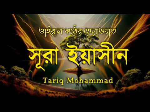 প্রতিদিন  সকাল সন্ধা তেলাওয়াত শুনুন সূরা ইয়াসীন । Best Tilawat Surah Yasin by Tareq Muhammad