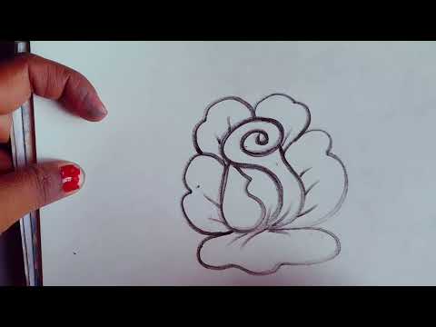 very easy rose drawing