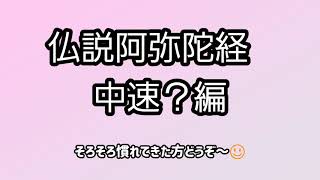 【仏説阿弥陀経　中速編】浄土真宗大谷派