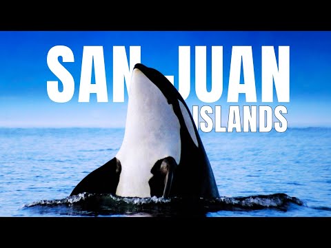 The ULTIMATE Travel Guide to the San Juan Islands WA