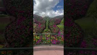 Epcot Flower and Garden Festival 2024! #flowerandgardenfestival