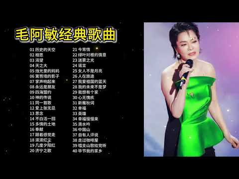 精选毛阿敏40首经典歌曲合集，深情感人的歌声，太好听了吧！