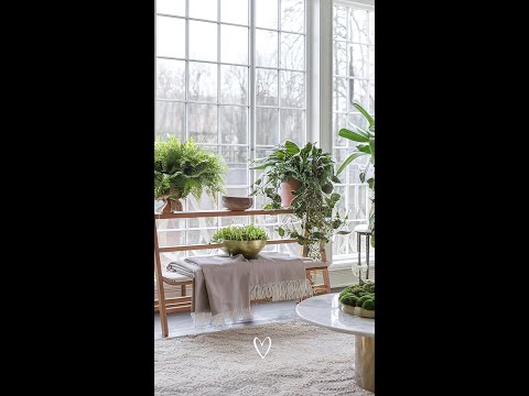 These are my favorite plant decor ideas! 🥰 | Elegant Greenery for a Timeless Home