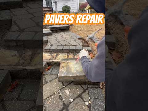 Paver Repair Step by Step #diy #construction #pavers #repair #howto #stepbystep #bluecollar #viral