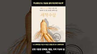 1+1 세척인삼 수삼 4~5년근 난발삼 중 10~15뿌리내외 높은 판매량 추천 #shorts 내돈내산