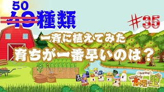 【箱庭開拓ハムスターと太陽の里】 育ちが一番早いのはどれ？全５０種類  #35　【ネタバレ注意】 #箱庭開拓ハムスターと太陽の里 #ゲーム実況 #叶かずゆき