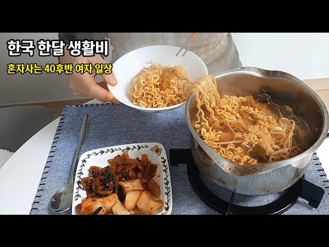 혼자사는 1인가구 40대 일상 브이로그 vlog 한국에서 대략적인 한달 생활비 (월세빼고)