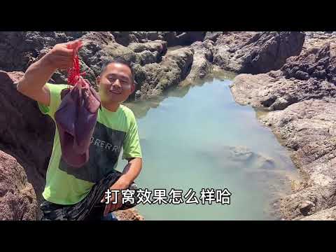 【阿向趕海】 豬肝打窩 引來十斤巨鰻咬傷阿向 鯊魚兇猛無比 大賣3100