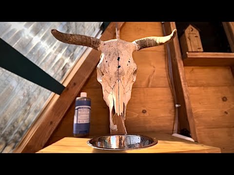 Simple & Inexpensive Off Grid Cabin Foot Pump Sink Using Dog Bowl & Cattle Skull