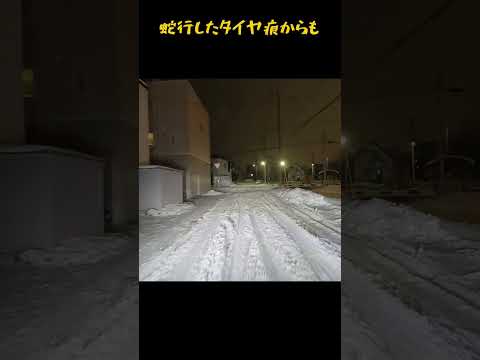 【雪国のリアル】生活道路はザクザクまつり