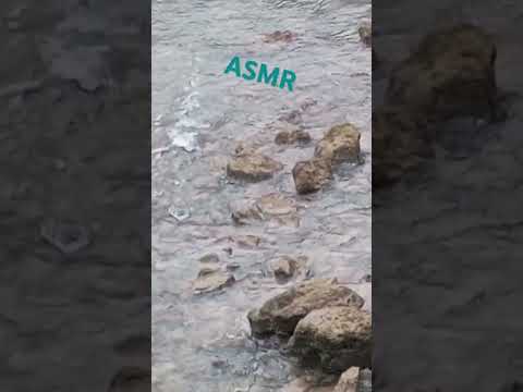 #asmr #Lily'sadventuresofficial #water #watersound #watersound #nature #naturesound #naturesounds