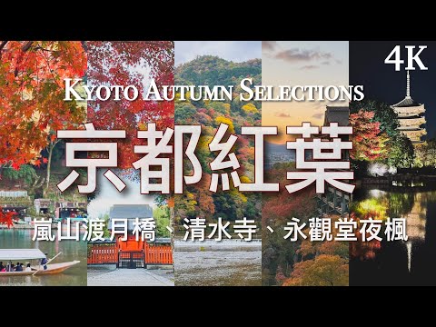 【2022 京都旅遊】紅葉見頃 嵐山渡月橋、清水寺、永觀堂 夜楓｜2泊3日京都小旅行 // Kyoto Autumn Selections 2022