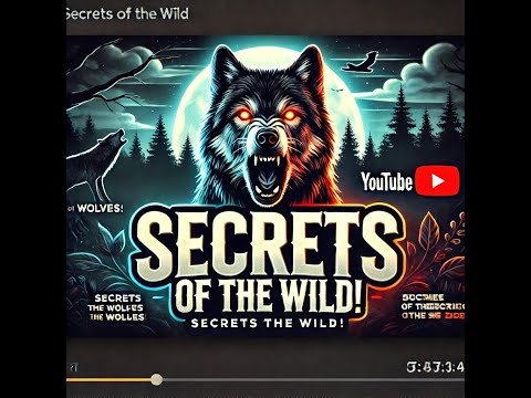 Wolves Revealed: Secrets of the Wild’s Silent Predators