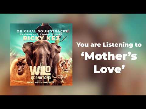 13 Wild Karnataka - Mother's Love - Original Soundtrack by Ricky Kej