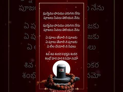 శివ శివ శంకర | భక్తవ శంకర #lordshiva #devotionalsongs #telugulyrics