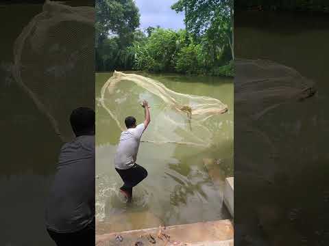 Fishing #shortvideo