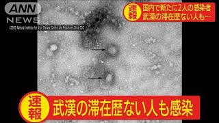 新型コロナウイルスの感染者　国内で新たに2人確認(20/01/28)