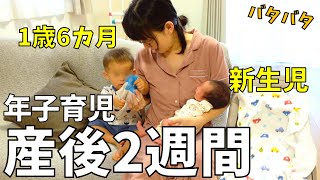 【出産後14日目】新生児＆1歳　年子育児のリアルな1日｜ルーティン24時間密着