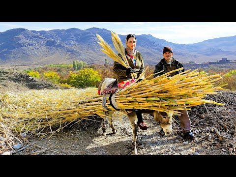 Village Lifestyle Iran: Amazing Cooking & Donkey Riding By A Girl