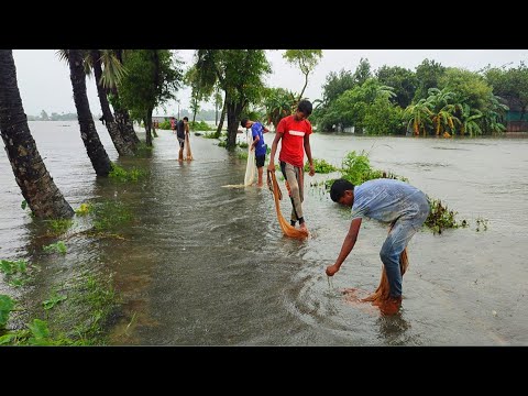 Net Fishing Rainy Day | Village Boys Catch Fish | flood Fishing video