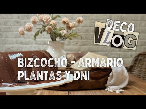 🪴 Abono Casero para Plantas + 🧥 Cambio de Armario + 👩🏼‍🍳 Bizcocho