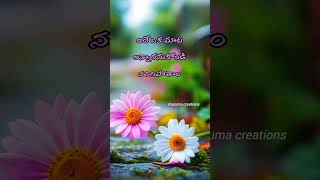 Telugu whatsapp status Telugu Dailouge status Emotional status Telugu whatsapp videos #love #shorts