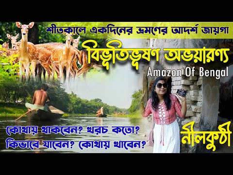 বিভূতিভূষণ অভয়ারণ্য | Parmadan Forest | Mangalgunj Nilkuthi | Mangalgunj Backpackers Camp | parmadon