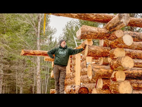 Levelling and squaring the top logs, Dealing with a bent log