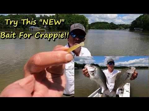 The Best Techniques for Catching Crappie in May