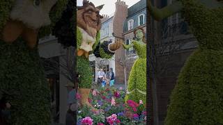 Disney’s Beauty and the Beast Topiary Flower and Garden #disney #epcot #shorts #flowerandgarden