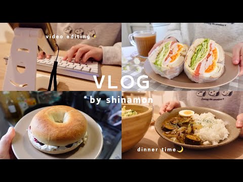 【vlog】サラダチキンと卵のサンドイッチを作って動画編集する日常🥪🌼IKEA購入品紹介🇸🇪なすとひき肉のカレー、ポテトサラダ、牛肉キムチチゲ、etc.｜自炊記録｜食事vlog｜30代