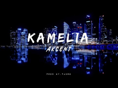 Akcent feat Lidia Buble & DDY Nunes - Kamelia🎧(lyrics) #trending