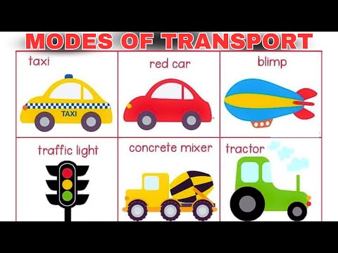 Toddlers Learn About Different kinds of Vehicles