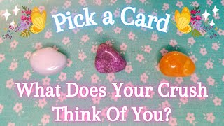 🙈WHAT DOES YOUR CRUSH THINK OF YOU☆Your Crush's Feelings For You❤In-Depth❀Pick a Card❀Tarot Reading