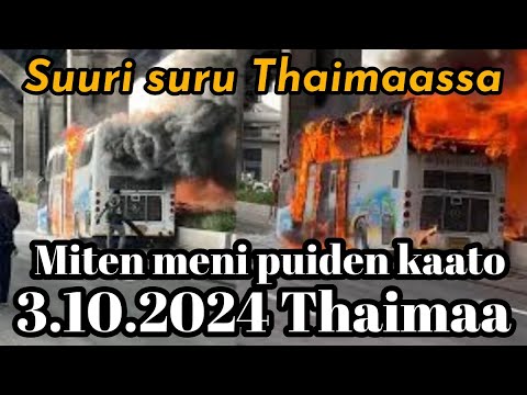 Suuri Suru Iski Thaimaalaisiin Tiistaina - Mites Meni Muuten Puiden Kaato 3.10.2024 Thaimaa