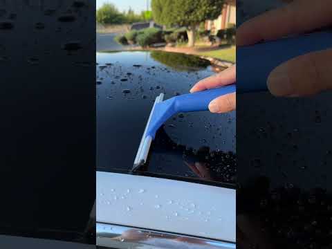 Most satisfying way to dry your Tesla 😍