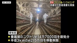 鳥インフルエンザの確認受け県が防疫措置を進める　愛知・常滑市 (25/01/02 18:31)