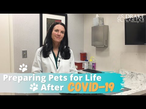 Preparing Pets for Life After COVID-19