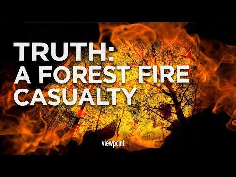 Truth:   A Forest Fire Casualty