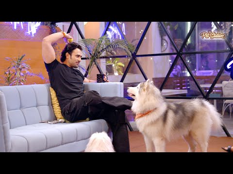 Pet Stories Official Trailer 3 | Pearl V Puri With Newton & Pixel