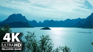 Beautiful Relaxing Music for Stress Relief | Meditation Music, Calm Music, Study, Sleep, Yoga, Zen