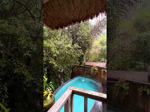 Escape to the Jungle: A Blissful Rainy Dwy in Bali’s Ubud Resort🌧️🌧️ #BaliBliss #TropicalRain