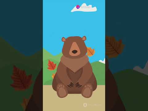 Today's animal is  Bears #naturejourneybear